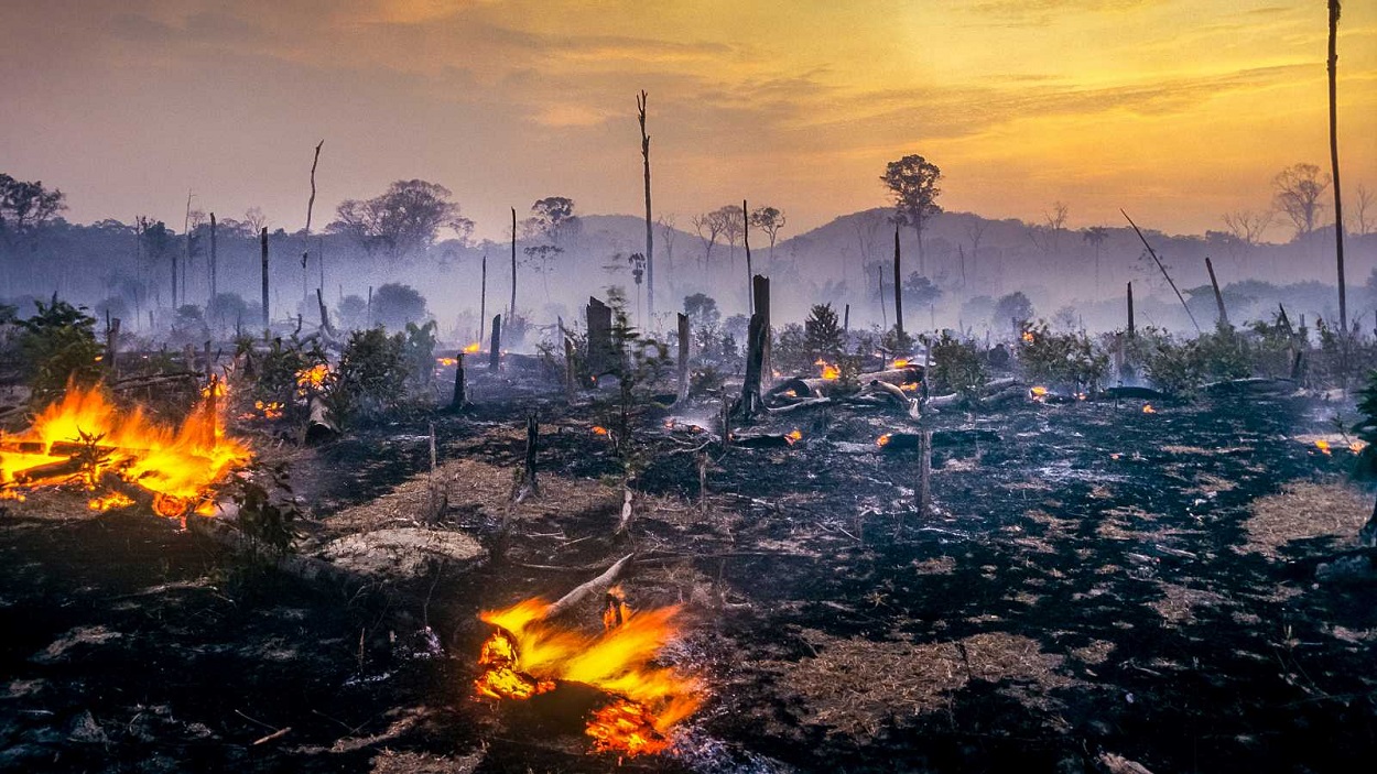 Amazonía brasileña