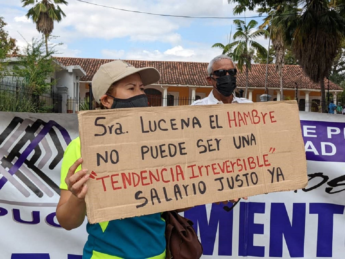 profesores