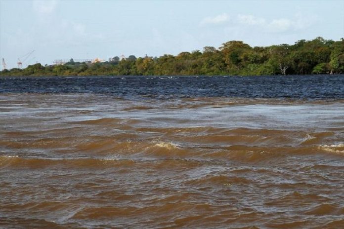 Hallados ocho cadáveres de indígenas waraos en la desembocadura del río Orinoco