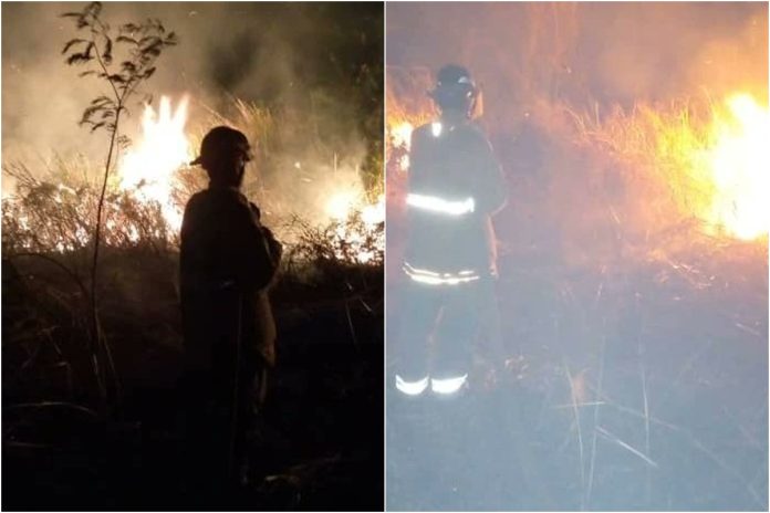Habitantes de San Diego afectados por incendio forestal la noche de este miércoles
