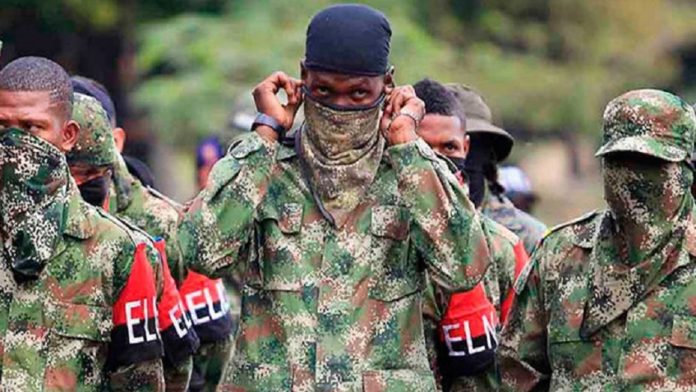 Diez guerrilleros del ELN se desmovilizan en el suroeste de Colombia
