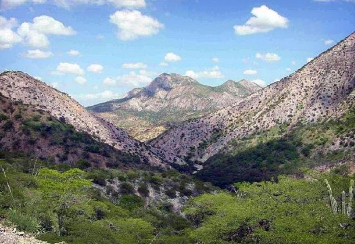 Exdiputado Daniel Antequera denuncia ecocidio en parque nacional Cerro Saroche