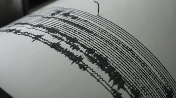 Terremoto de 7 grados se registra en el Pacífico cerca de Nueva Caledonia