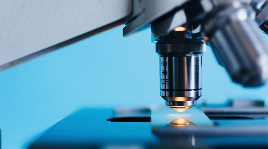 Hallan un anticuerpo que frena el cáncer: detiene propagación tumores y previene metástasis