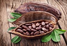 Exportación de cacao queda exonerada de impuestos y aranceles