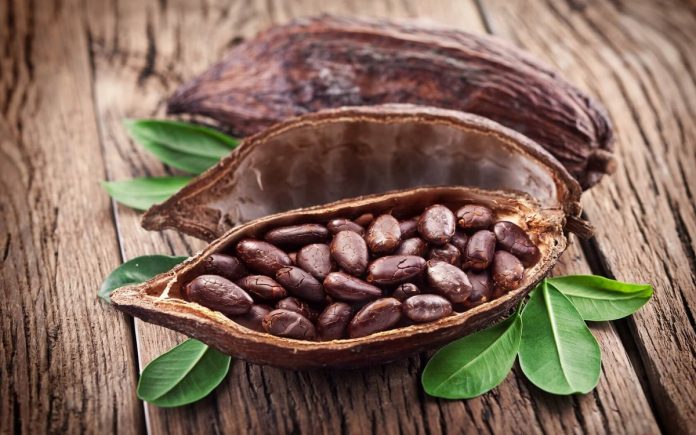 Exportación de cacao queda exonerada de impuestos y aranceles