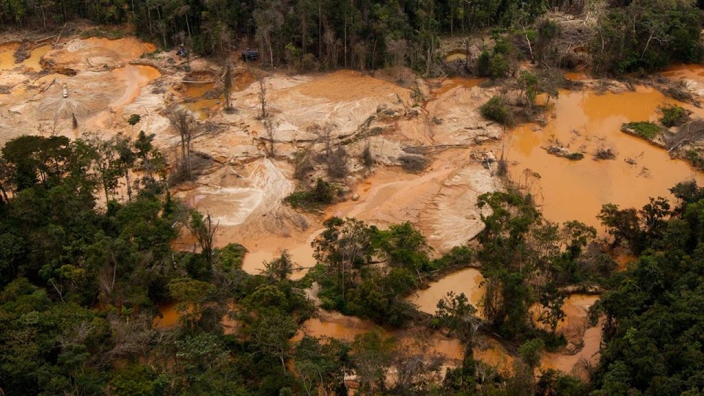 Chavismo asegura haber revertido la deforestación un 47% en 20 años