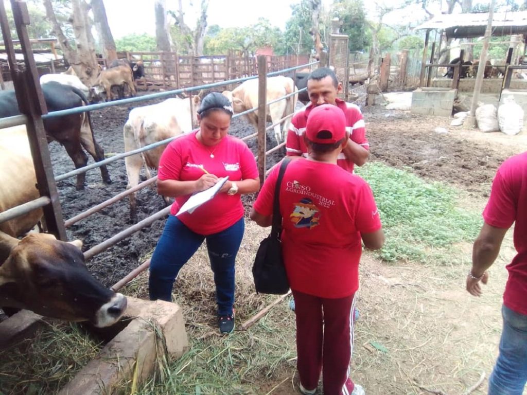 Censo Agroproductivo del municipio Libertador ha permitido organizar a 500 productores