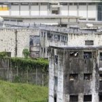 OVP: Reos en Venezuela sufren un "grave problema de alimentación" el rodeo