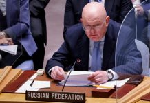 Nueva Zelanda critica la incapacidad de la ONU ante vetos de Rusia