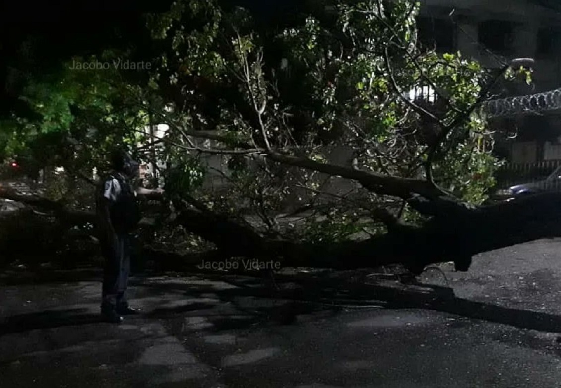 Fuertes lluvias ocasionaron apagones, caída de árboles y desbordamientos en Valencia