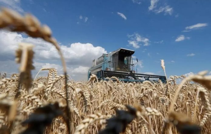 EE.UU. comprará $68 millones de trigo ucraniano para enviarlos a países pobres