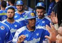 Magallanes recibe licencia OFAC para reforzar su equipo para la temporada 2022-2023