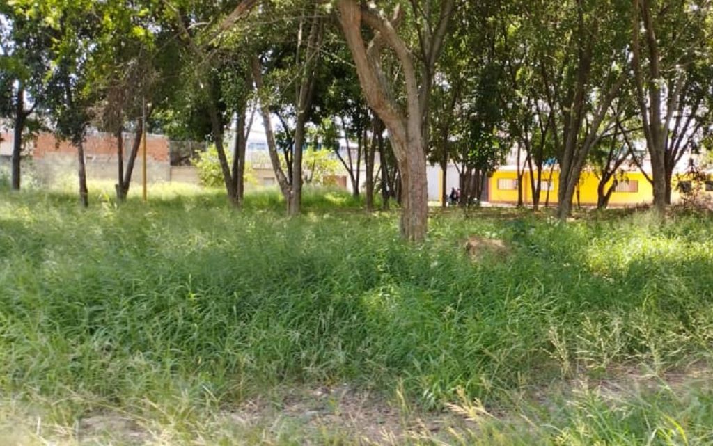 parque-fundación-mendoza-