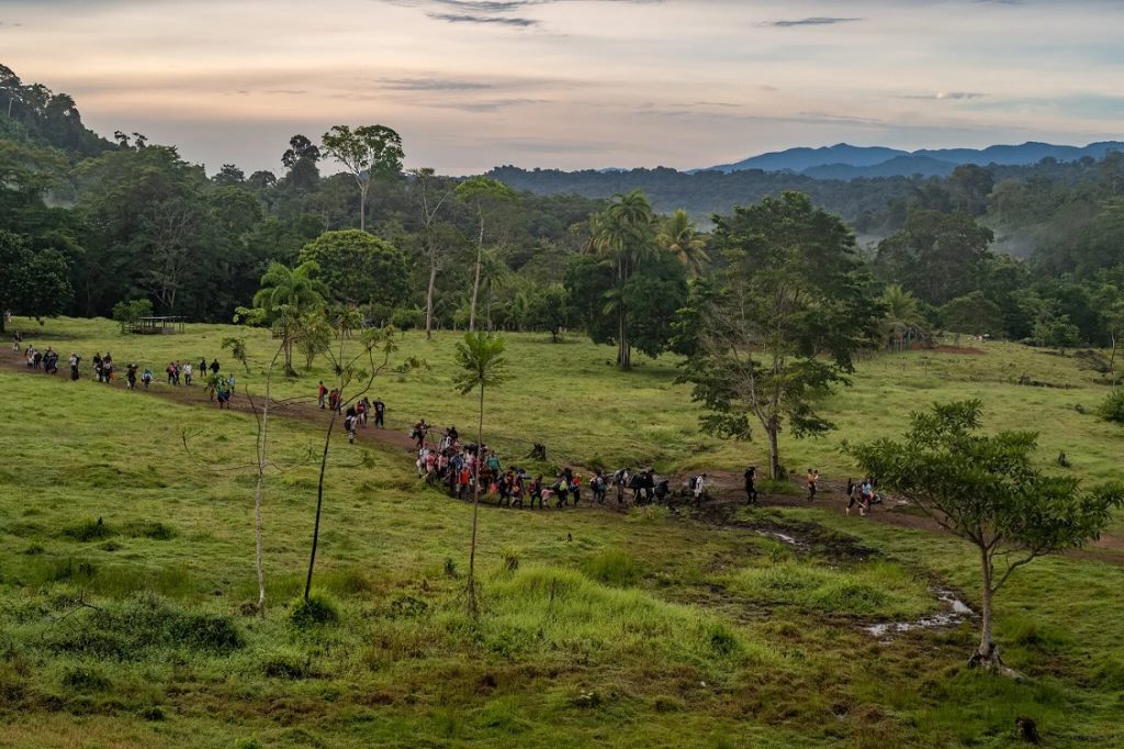 Migrantes venezolanos, tercera nacionalidad que más ha cruzado el Darién en lo que va de 2023