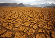 Sequía en Bolivia afecta a 102 mil 440 familias y 140 mil 852 hectáreas de cultivos