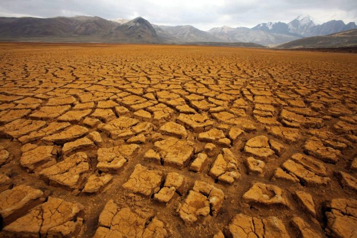 Sequía en Bolivia afecta a 102 mil 440 familias y 140 mil 852 hectáreas de cultivos