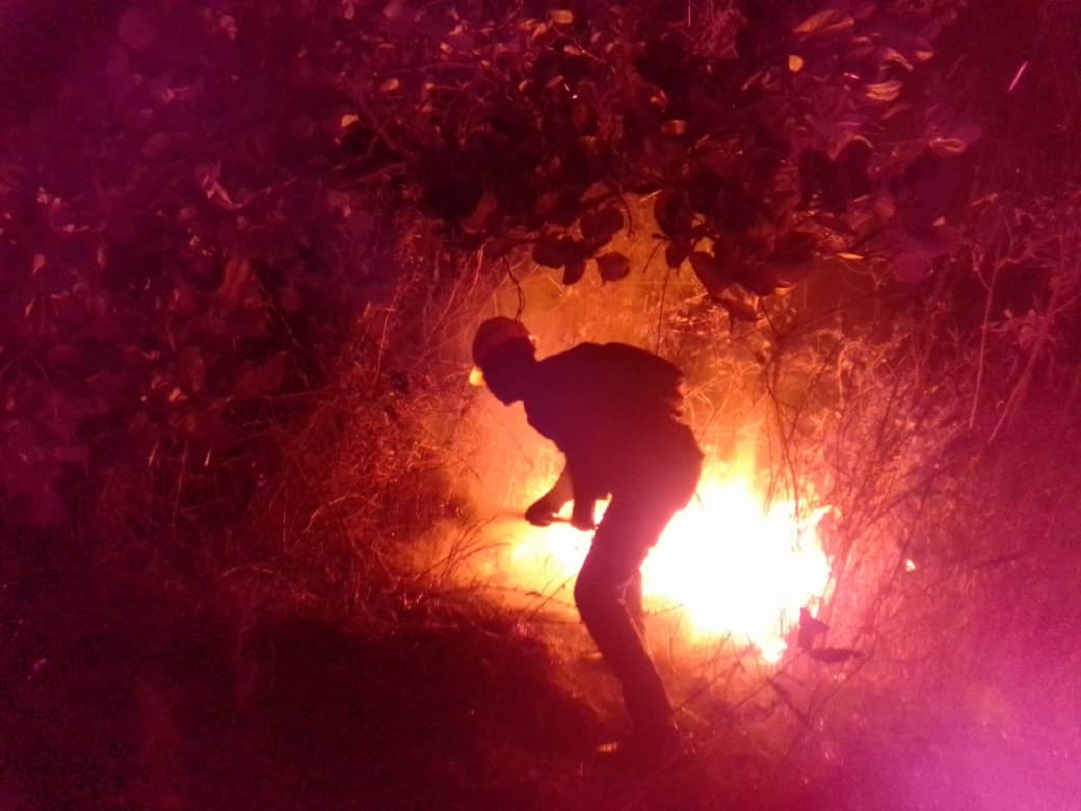 Bomberos forestales combaten incendio en parque nacional San Esteban