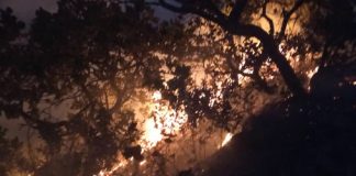 Reportado nuevo incendio forestal en el parque nacional San Esteban