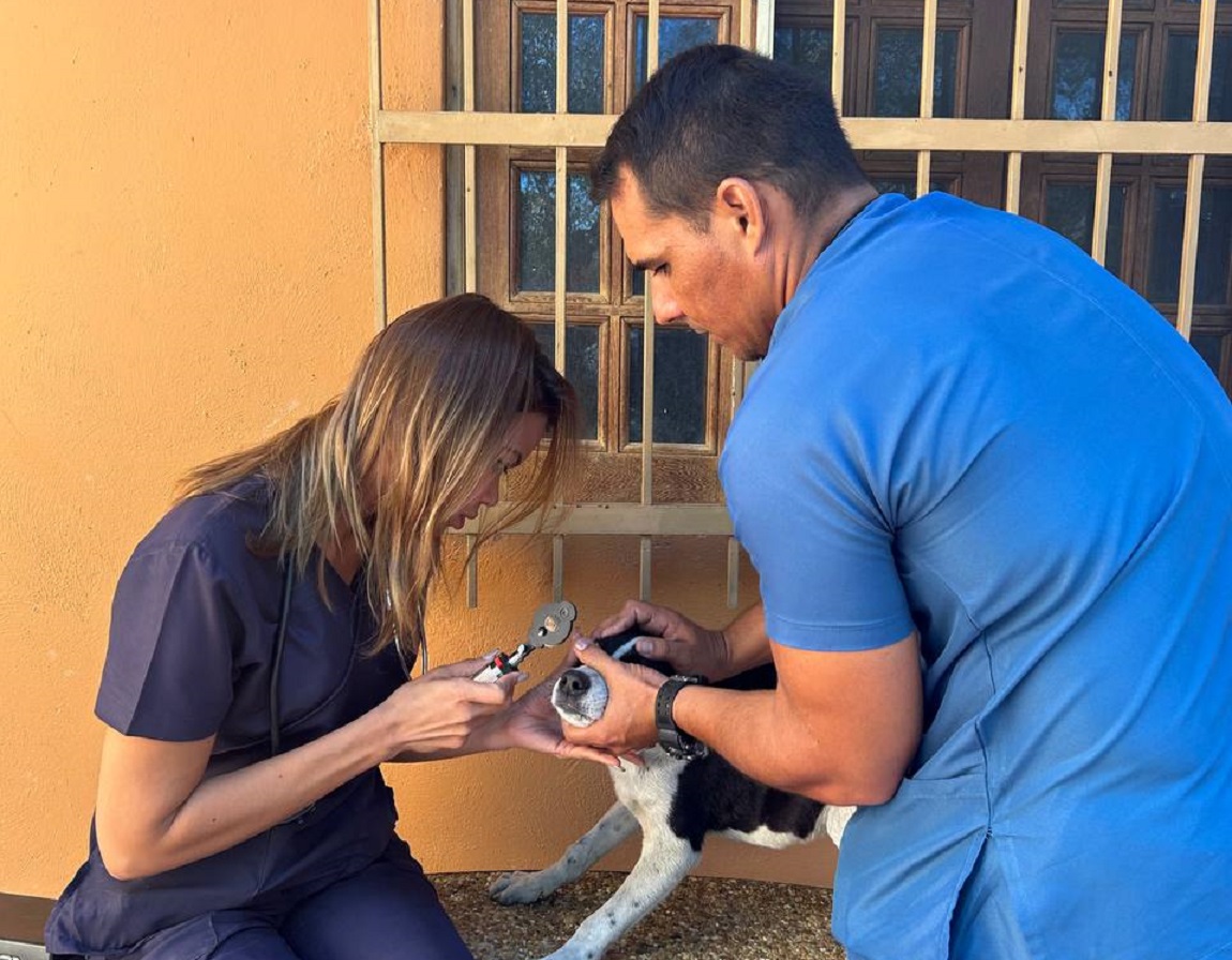 La UAM realizó jornadas de atención veterinaria a pacientes caninos