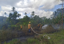 Incendios forestales en Parque Nacional Mochima ponen en riesgo zona cercana al gasoducto “José Francisco Bermúdez”