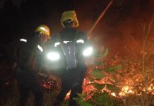 Bomberos Forestales sofocan incendio en el cerro El Café