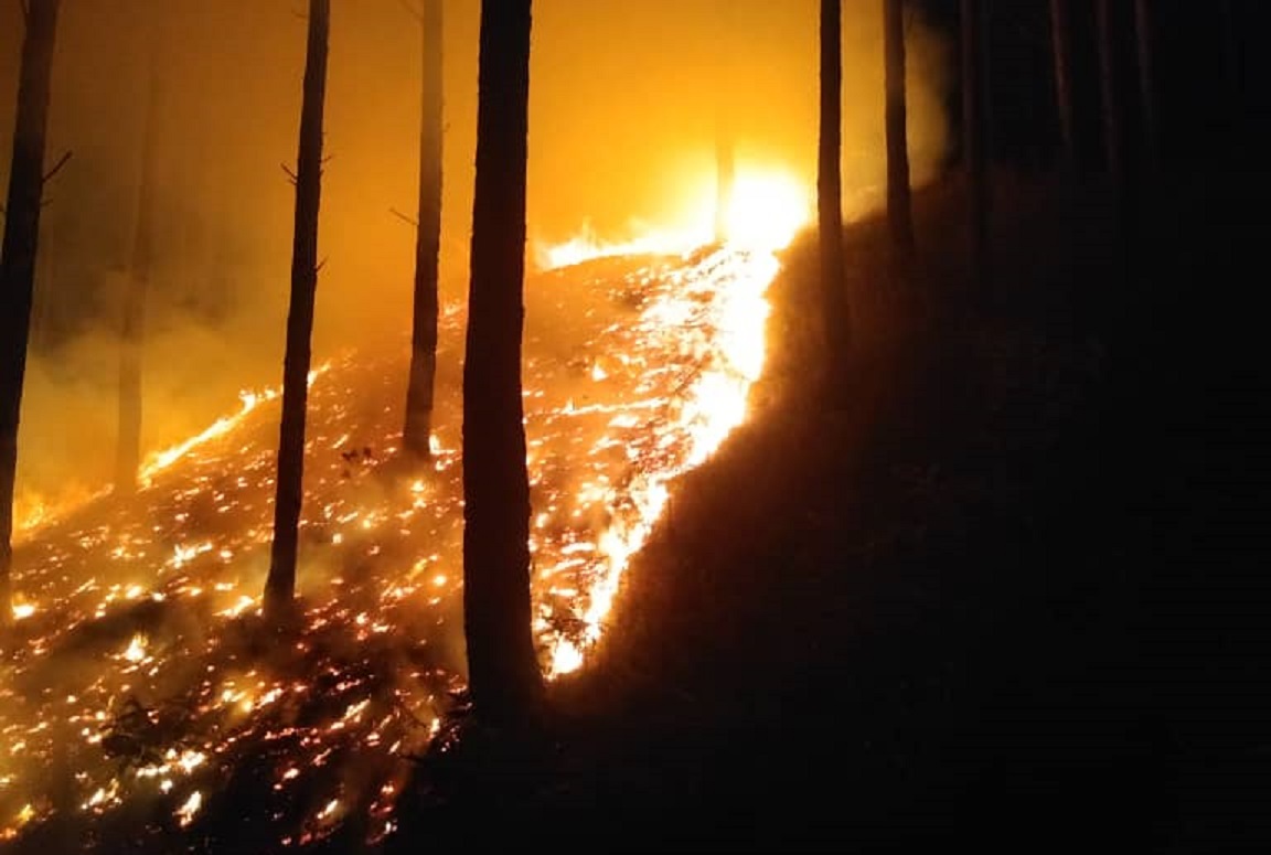 Bomberos Forestales sofocan incendio en el cerro El Café