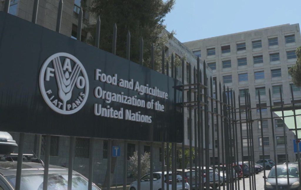 Programa Mundial de Alimentos aprueba plan 2023-2025 para Venezuela por $573 millones