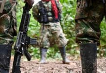 Asesinan a excombatiente de las FARC