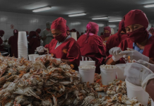Venezuela aumentó exportaciones de crustáceos