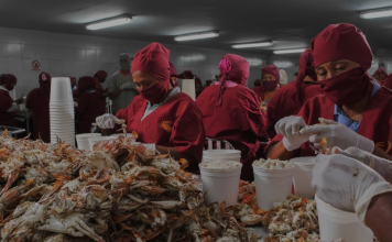 Venezuela aumentó exportaciones de crustáceos