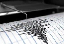 Registrados dos sismos en el eje costero carabobeño este sábado