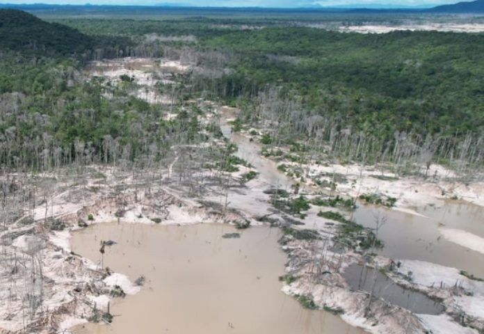 SOS Orinoco denuncia invasión de mineros ilegales brasileños en el mayor río del país