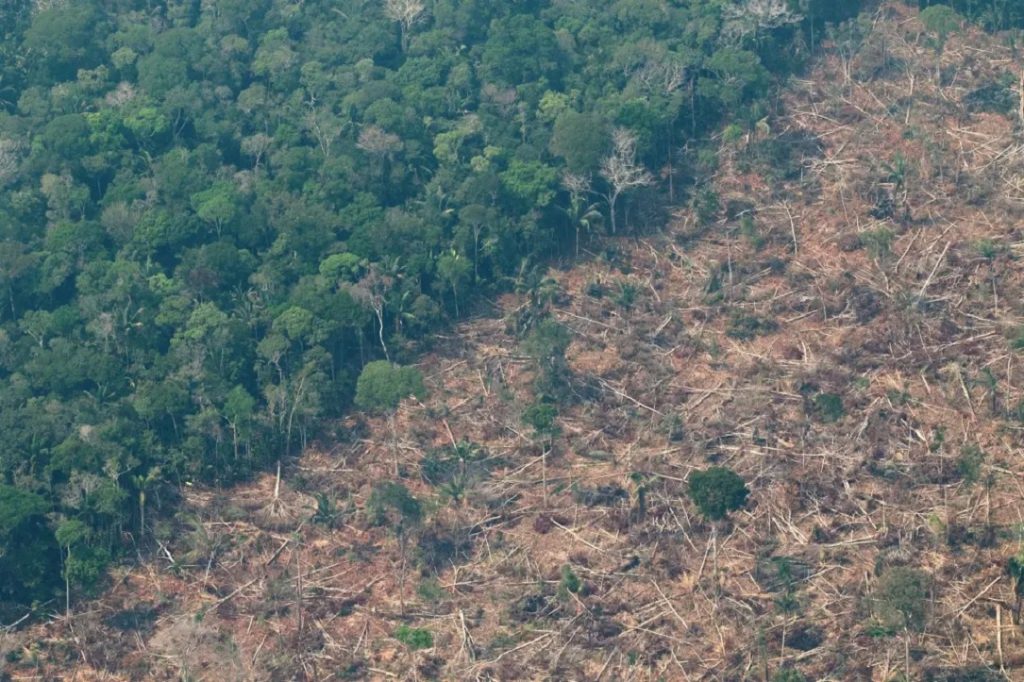 Grupo de científicos marca el punto de no retorno de la Amazonía en 2075