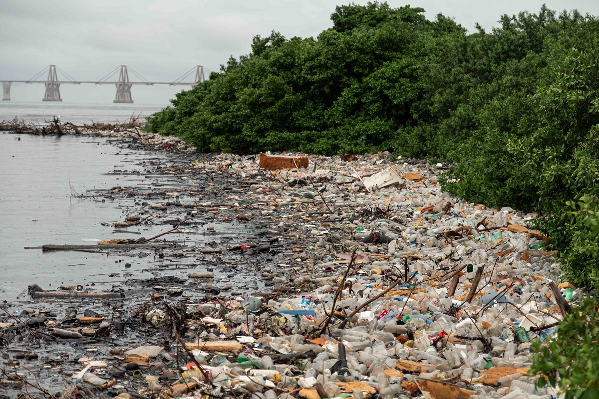 Gobierno ofrece 38 obras para recuperar el Lago de Maracaibo