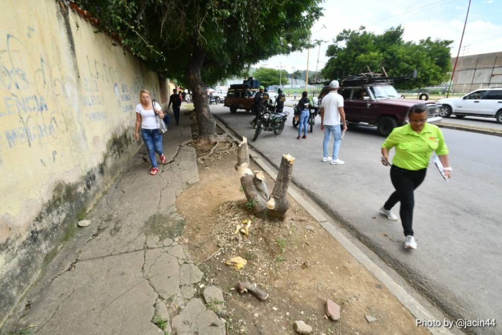 Comerciantes formales y buhoneros deben acatar ordenanzas de calidad de vida en Bella Florida