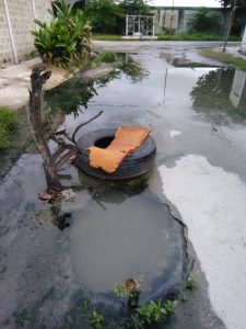 Aguas negras