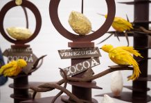 Chocolatero español Lluc Crusellas encuentra en Venezuela un cacao de "mucha calidad"