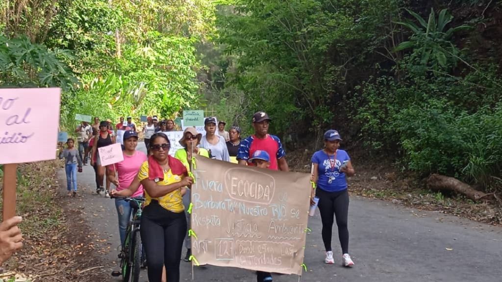 Comunidades de Puerto Cabello exigen detener deforestación de orillas del río Borburata