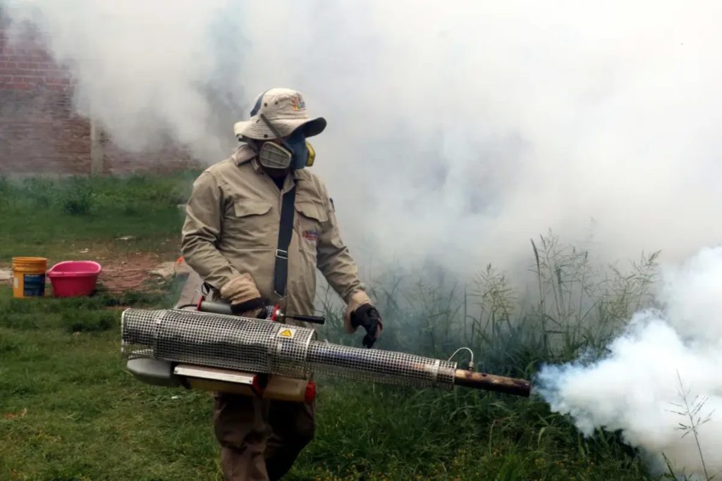 Ministerio de Salud afirma haber realizado más de 112 mil trabajos de fumigación contra el dengue