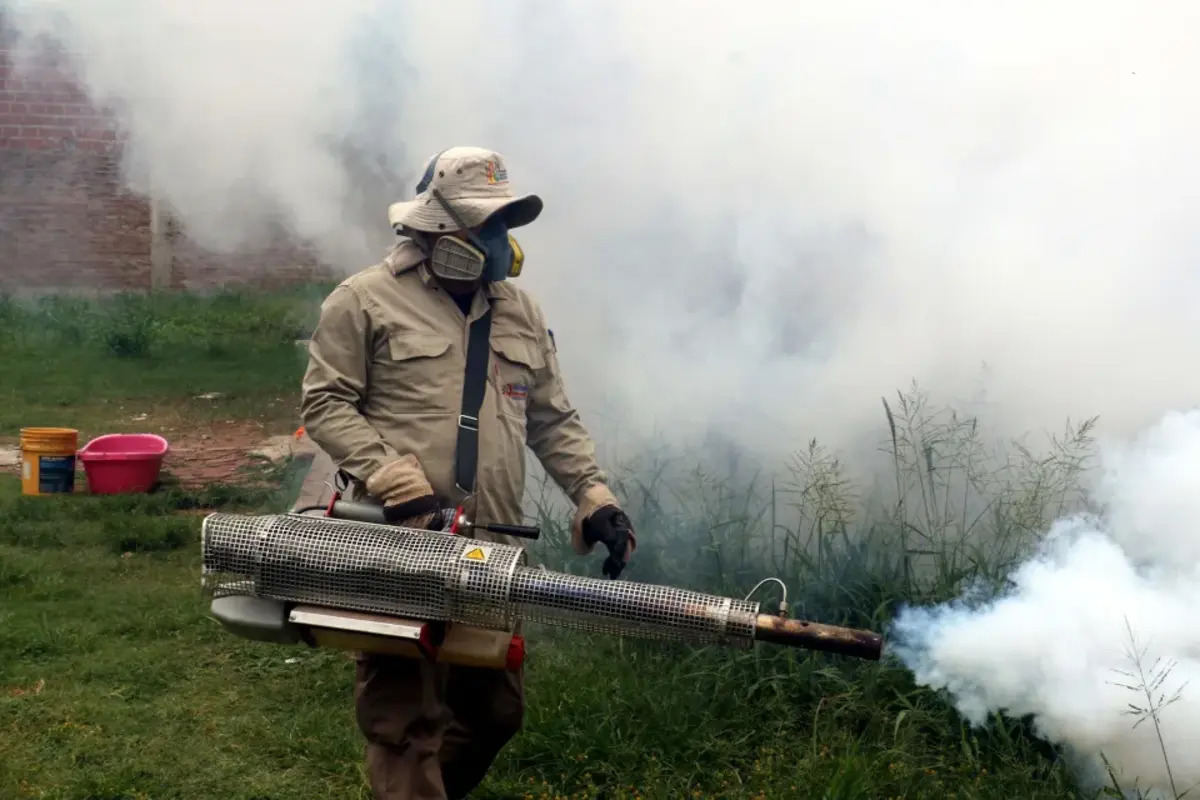 Ministerio de Salud afirma haber realizado más de 112 mil trabajos de fumigación contra el dengue