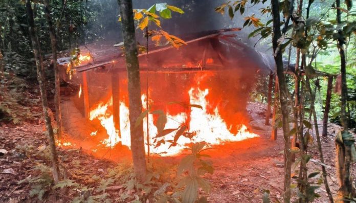 Ejército colombiano destruyó seis laboratorios para procesamiento de cocaína en el noroeste del país