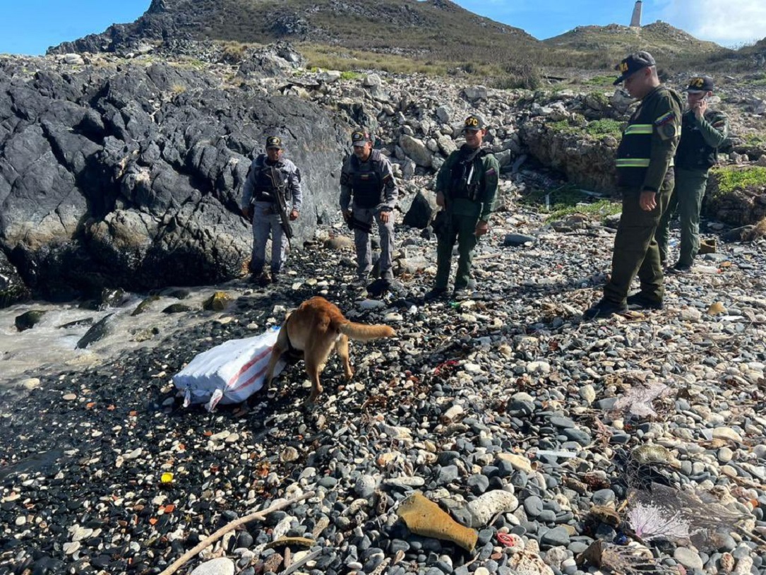 FANB halló casi 35 kilos de marihuana en el archipiélago Los Roques