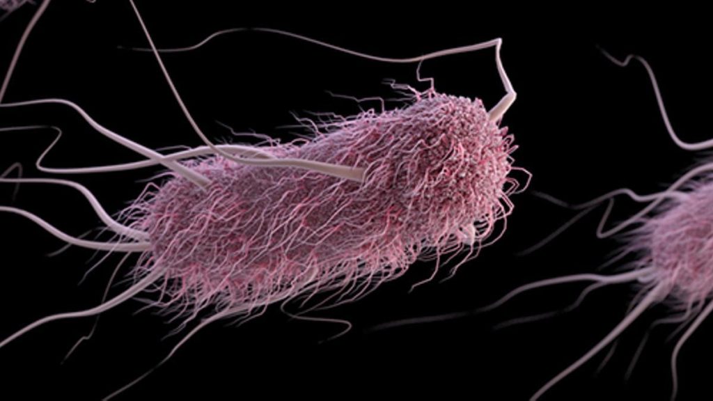 Superbacterias