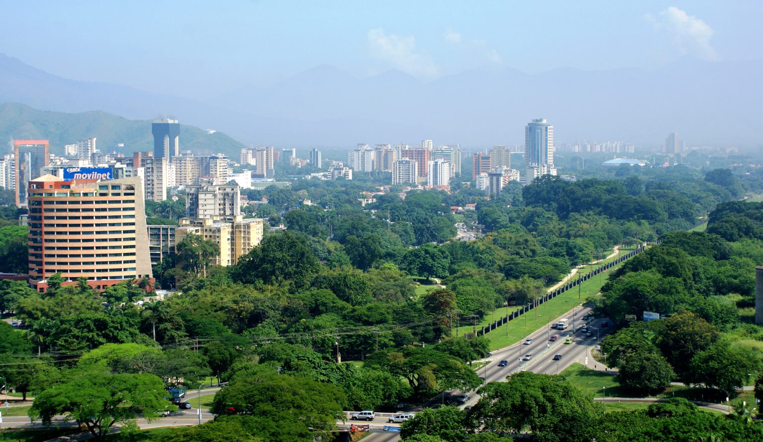 Carabobo es refugio de aves
