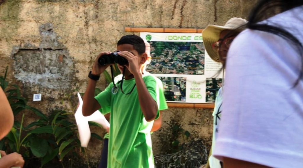 ciencia ciudadana observación de aves