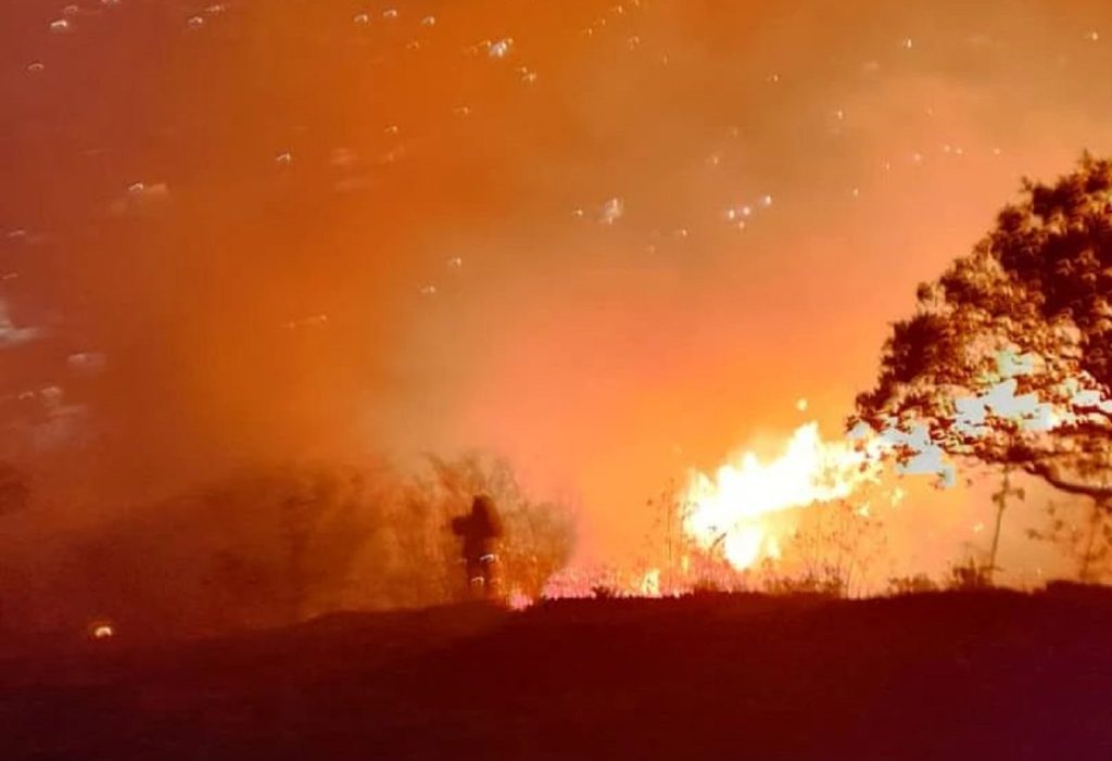 NASA detectó más de 9 mil focos de incendio en Venezuela entre enero y febrero