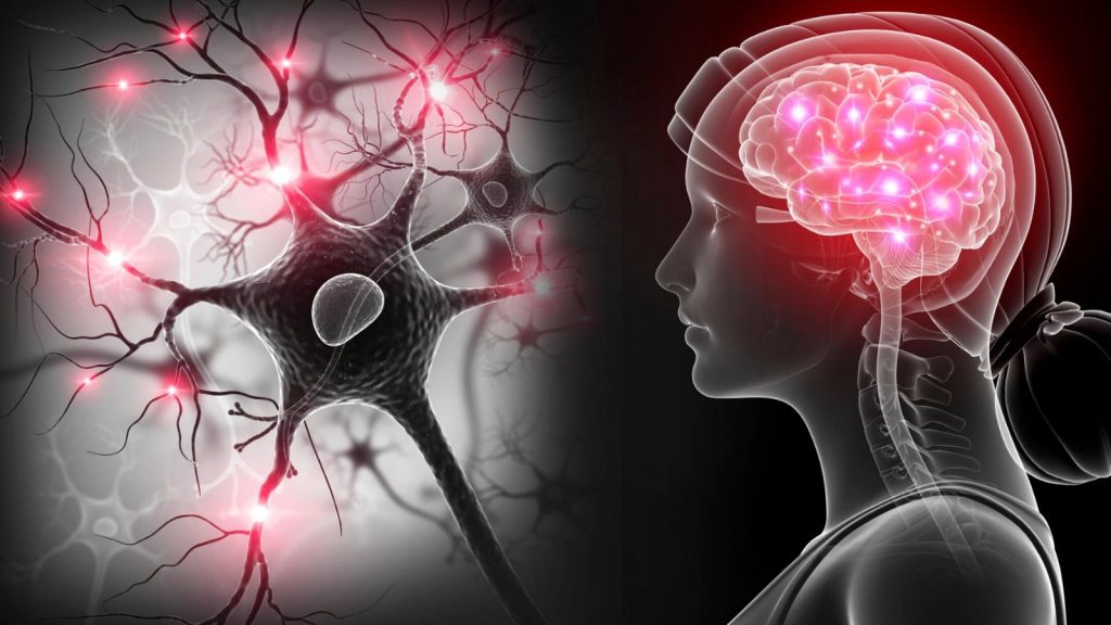 La esclerosis múltiple produce anticuerpos que pueden ser detectados en sangre antes de que aparezcan los primeros síntomas de la enfermedad. Lo que abre esperanzadoras vías de tratamiento para esta dolencia, que afecta a 1,8 millones de personas en el mundo