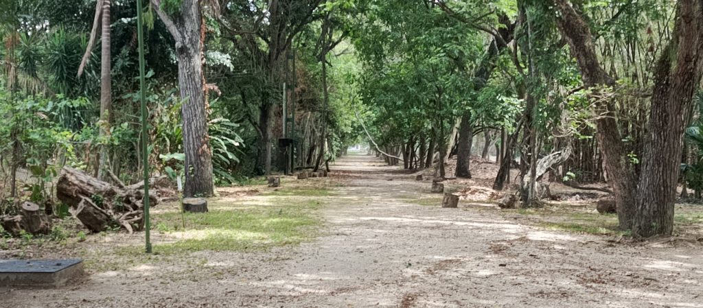 Jardín Botánico
