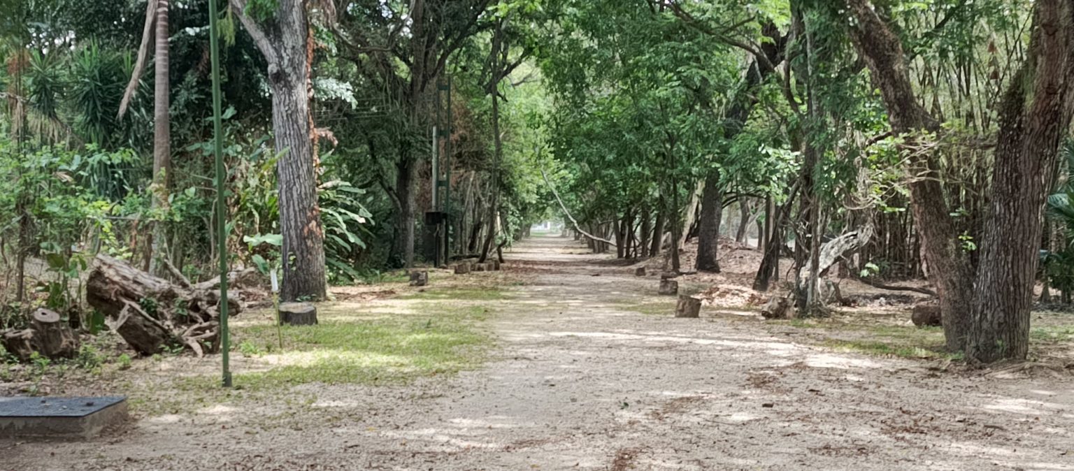 Jardín Botánico